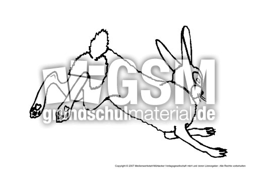 Hase-1.pdf